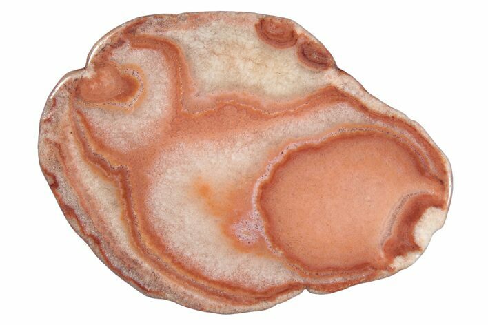 Polished Potato Agate Slice - England #283070